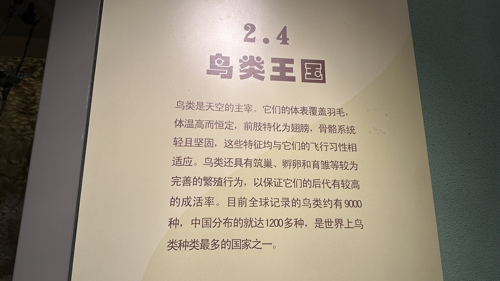 「2.4 鳥類王國」展板