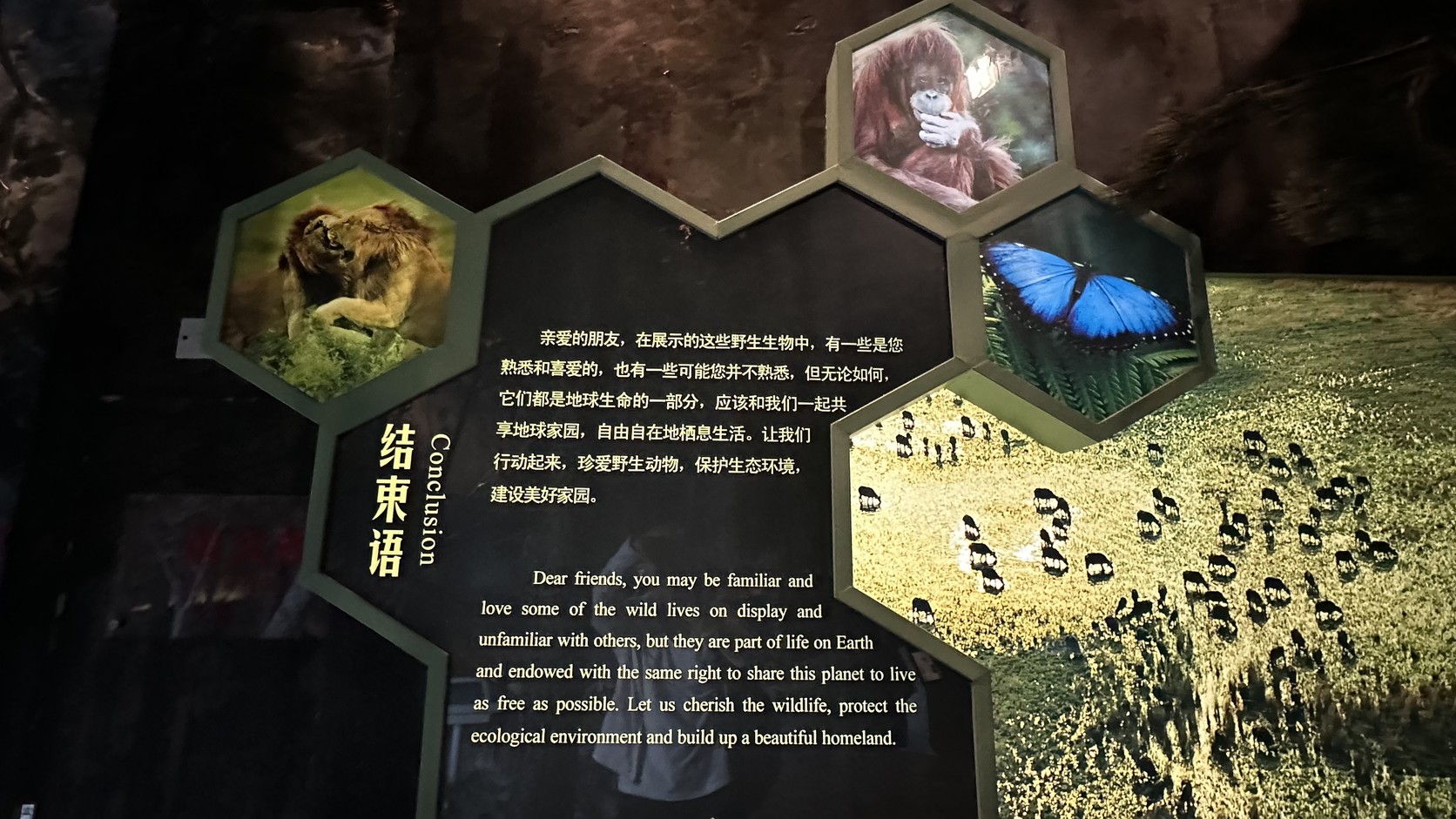 展覽結束語展板，呼籲珍愛野生動物、保護生態環境