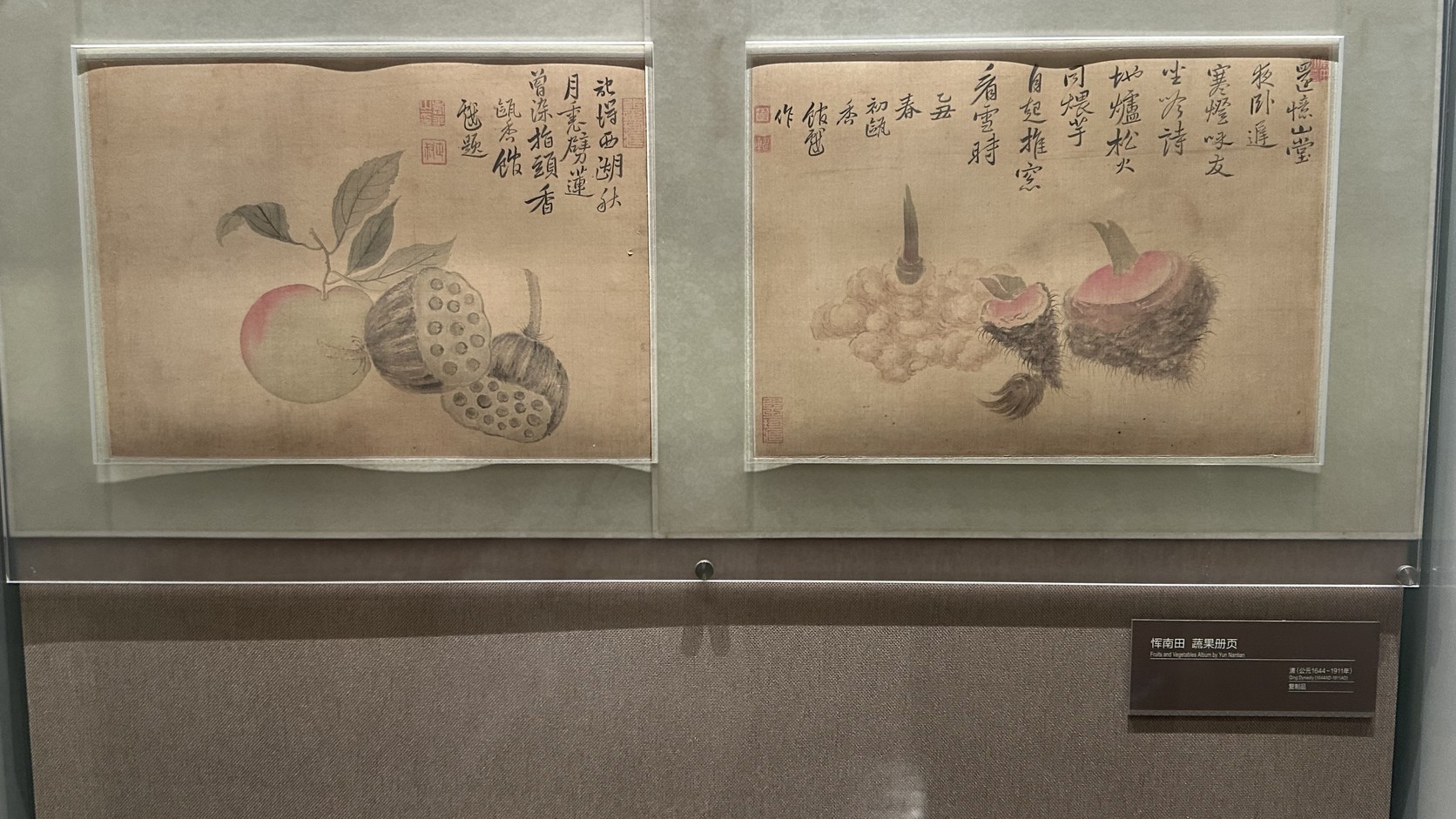 惲南田《蔬果冊頁》複製品展示