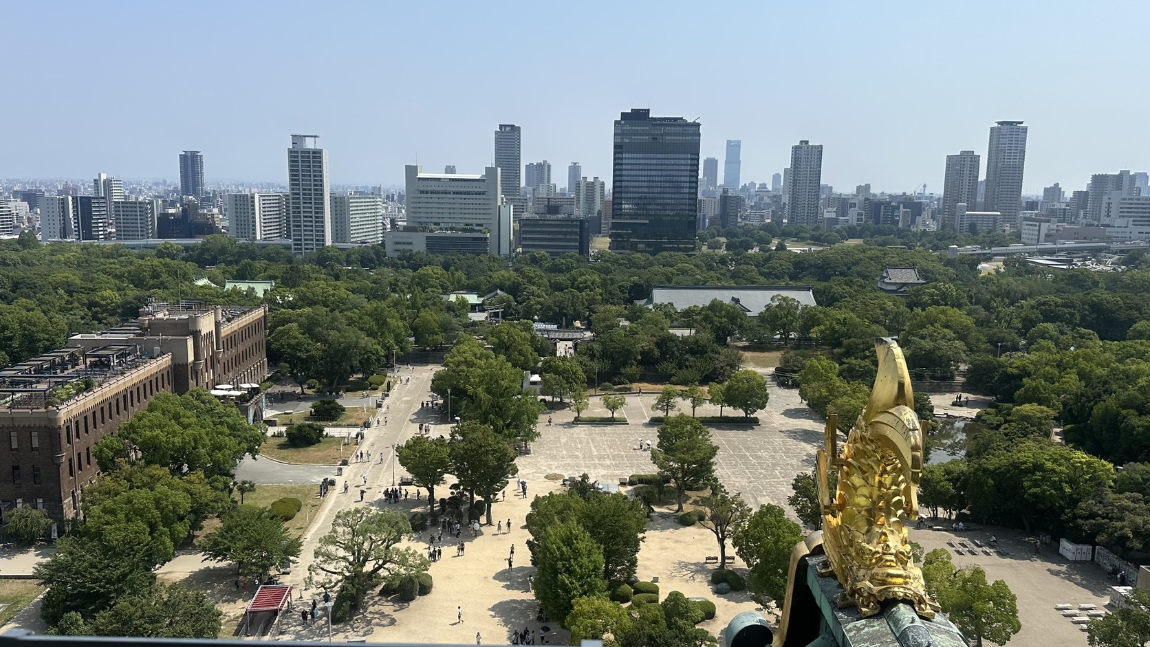 八樓展望台邊緣近拍的屋頂金鯱，下方是公園廣場與大阪市區的高樓