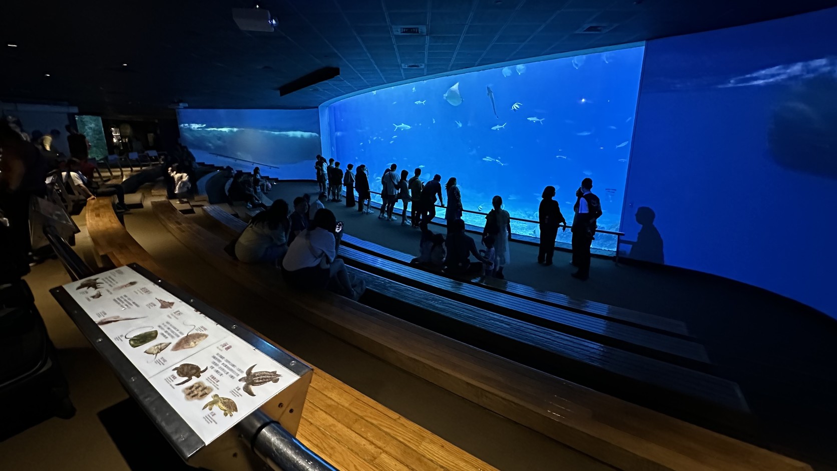 臺灣水域館大洋池前的階梯式座位，遊客坐著欣賞整面牆的海洋景觀