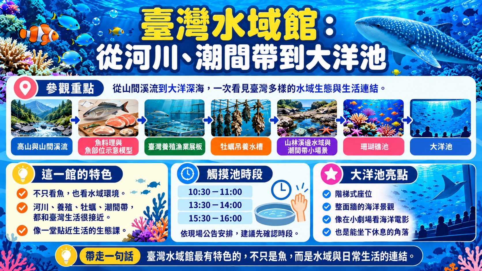 體驗整理卡：臺灣水域館從河川、養殖、牡蠣到潮間帶、珊瑚礁池與大洋池，整理觸摸池時段與大洋池亮點