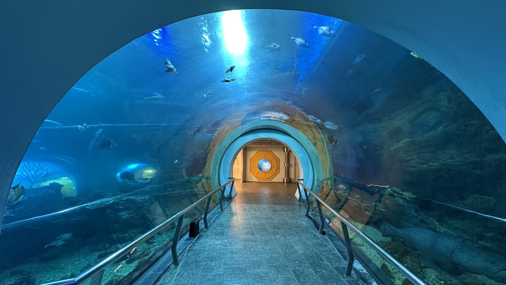 珊瑚王國館的海底隧道與電動步道