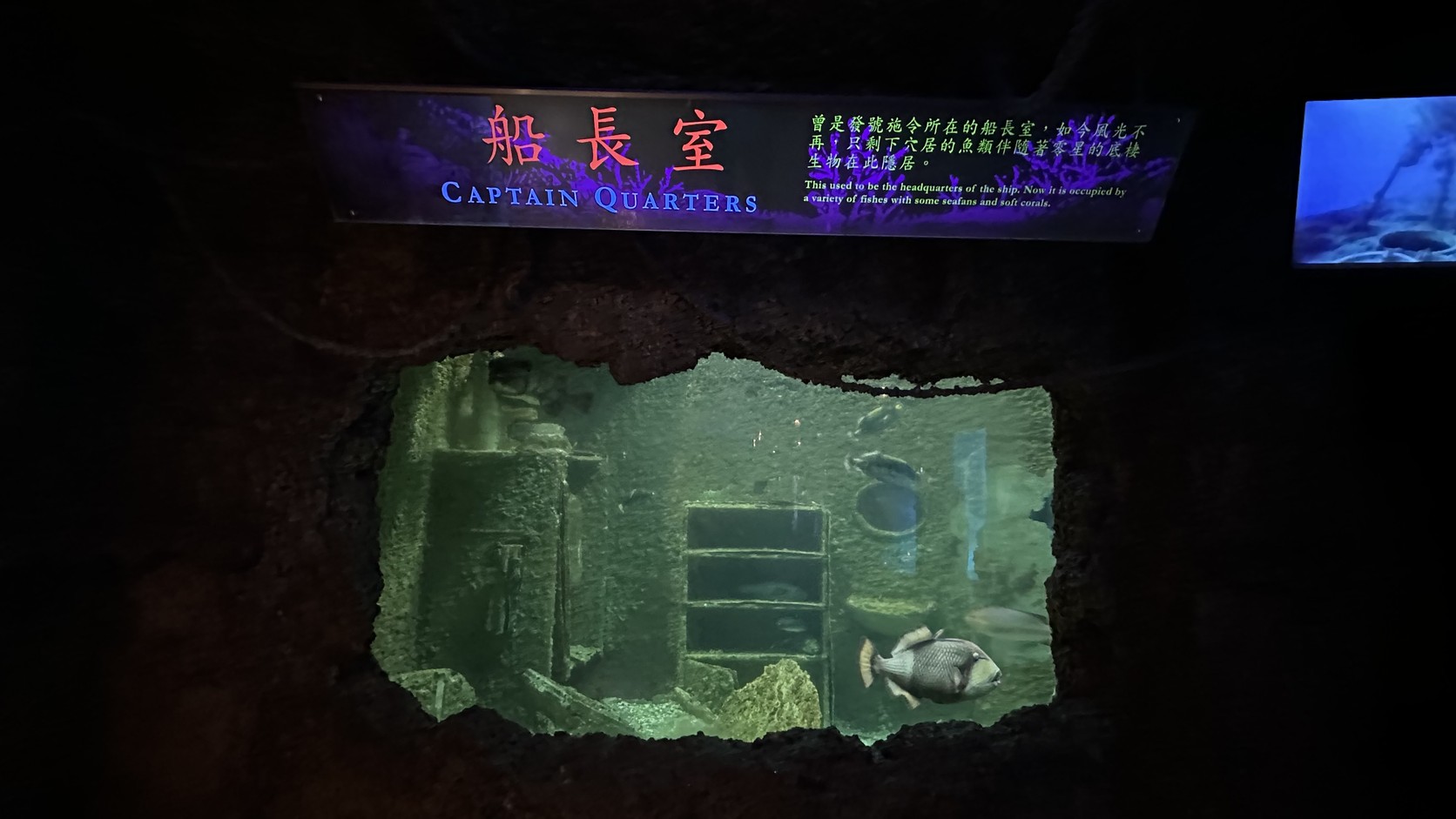 珊瑚王國館沈船探險展區，昏暗場景中有寫著「船長室」的牌子