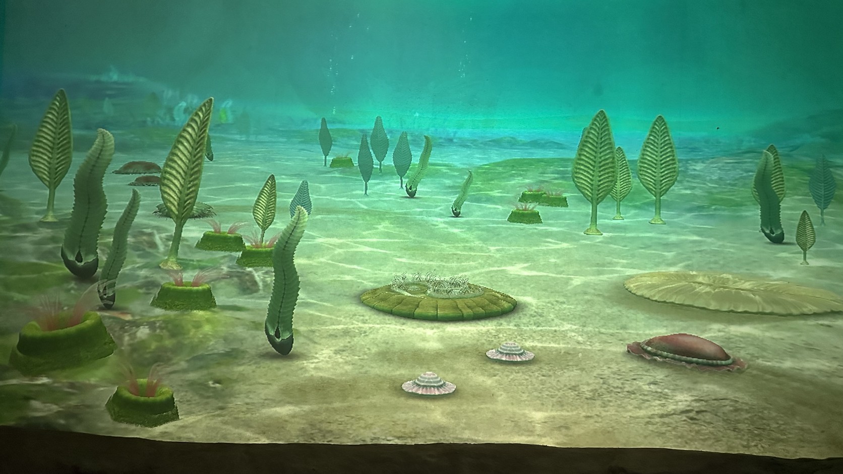世界水域館古海洋展區的投影畫面，呈現古代海洋環境與水草