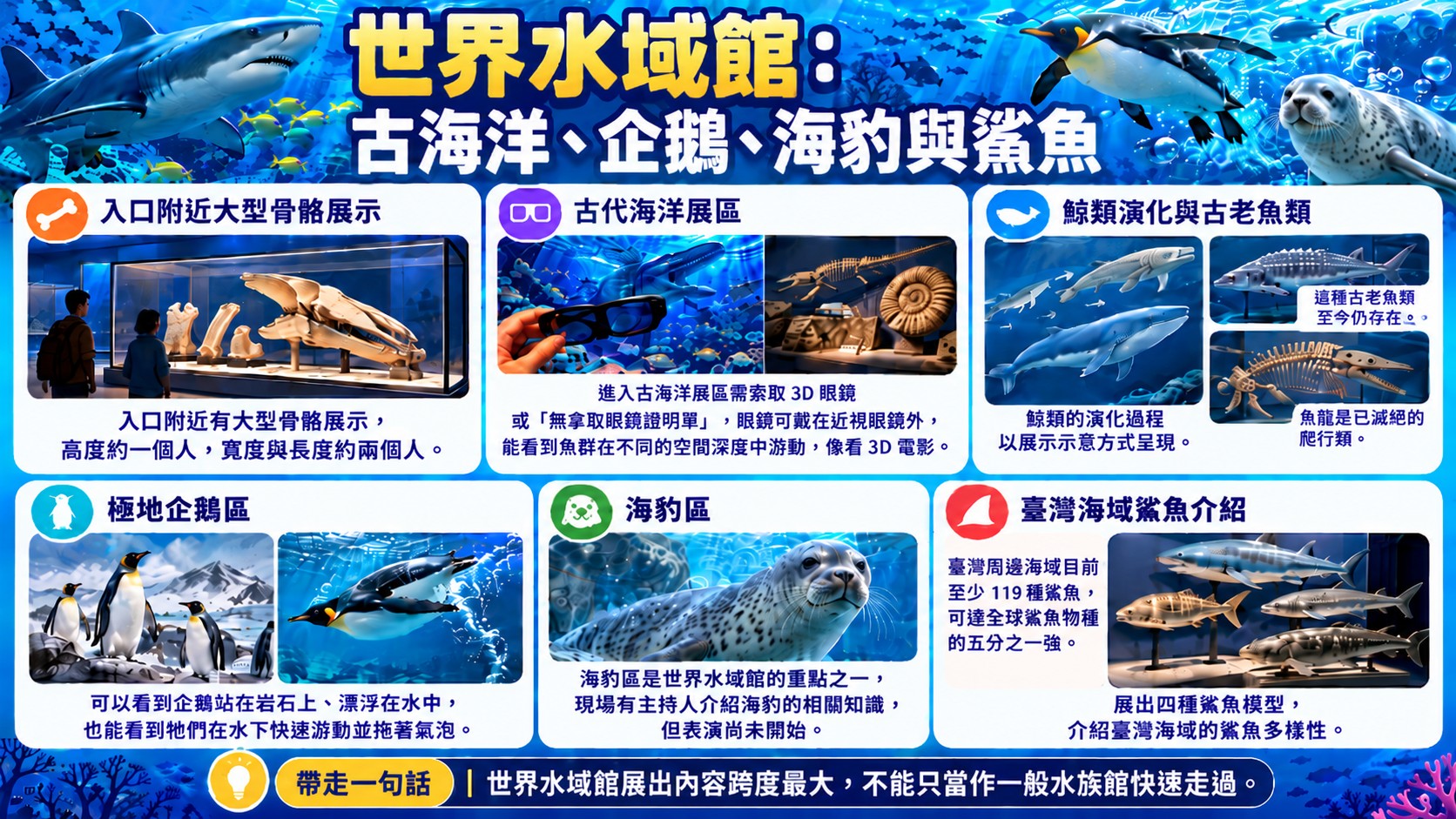 旅遊亮點整理卡：世界水域館整理大型骨骼展示、古代海洋與 3D 眼鏡、古老魚類、極地企鵝、海豹區與臺灣海域鯊魚介紹