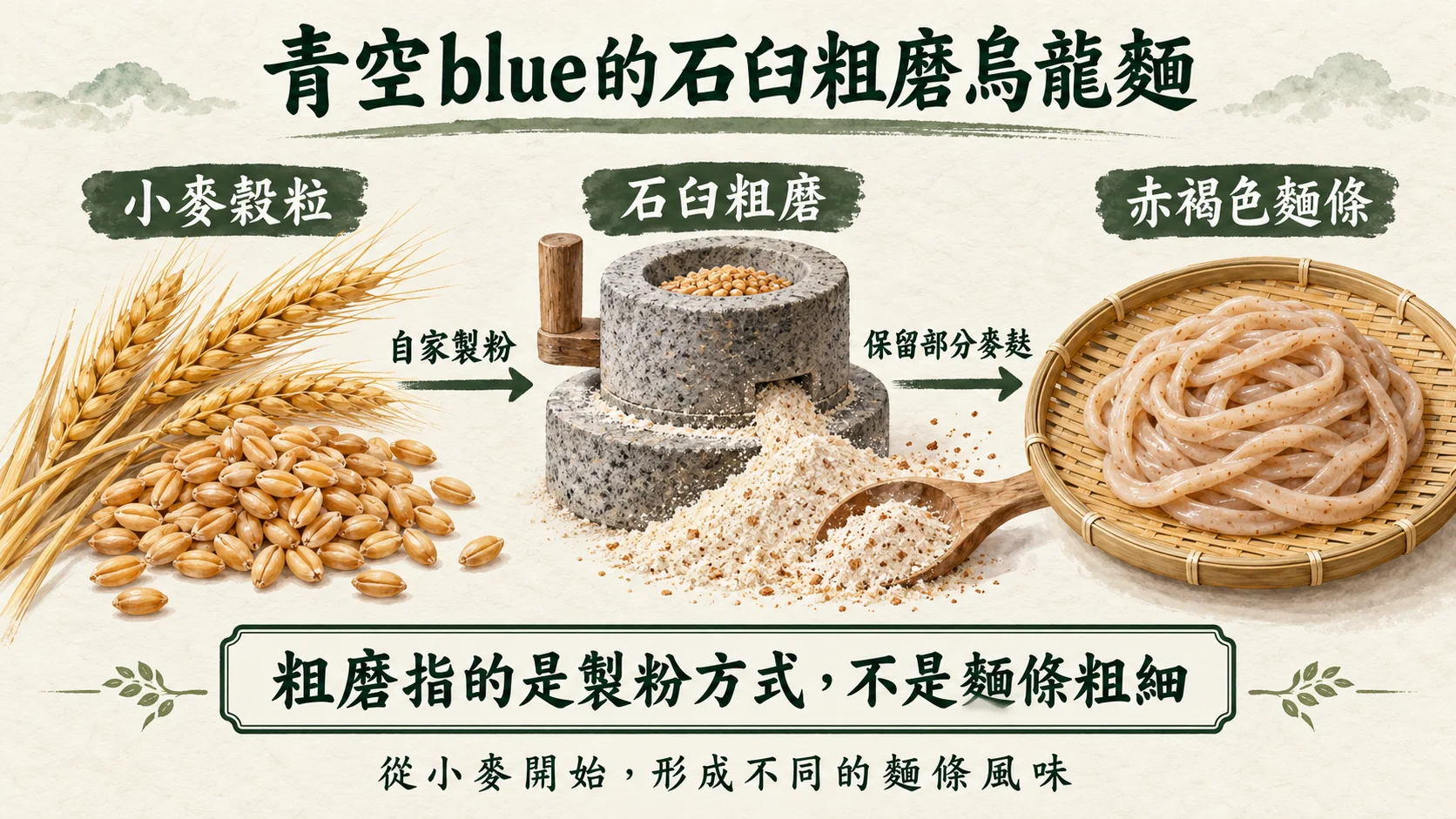 知識關係卡：青空blue自家製粉，小麥穀粒經石臼粗磨並保留部分麥麩，做成赤褐色麵條，粗磨指的是製粉方式而不是麵條粗細
