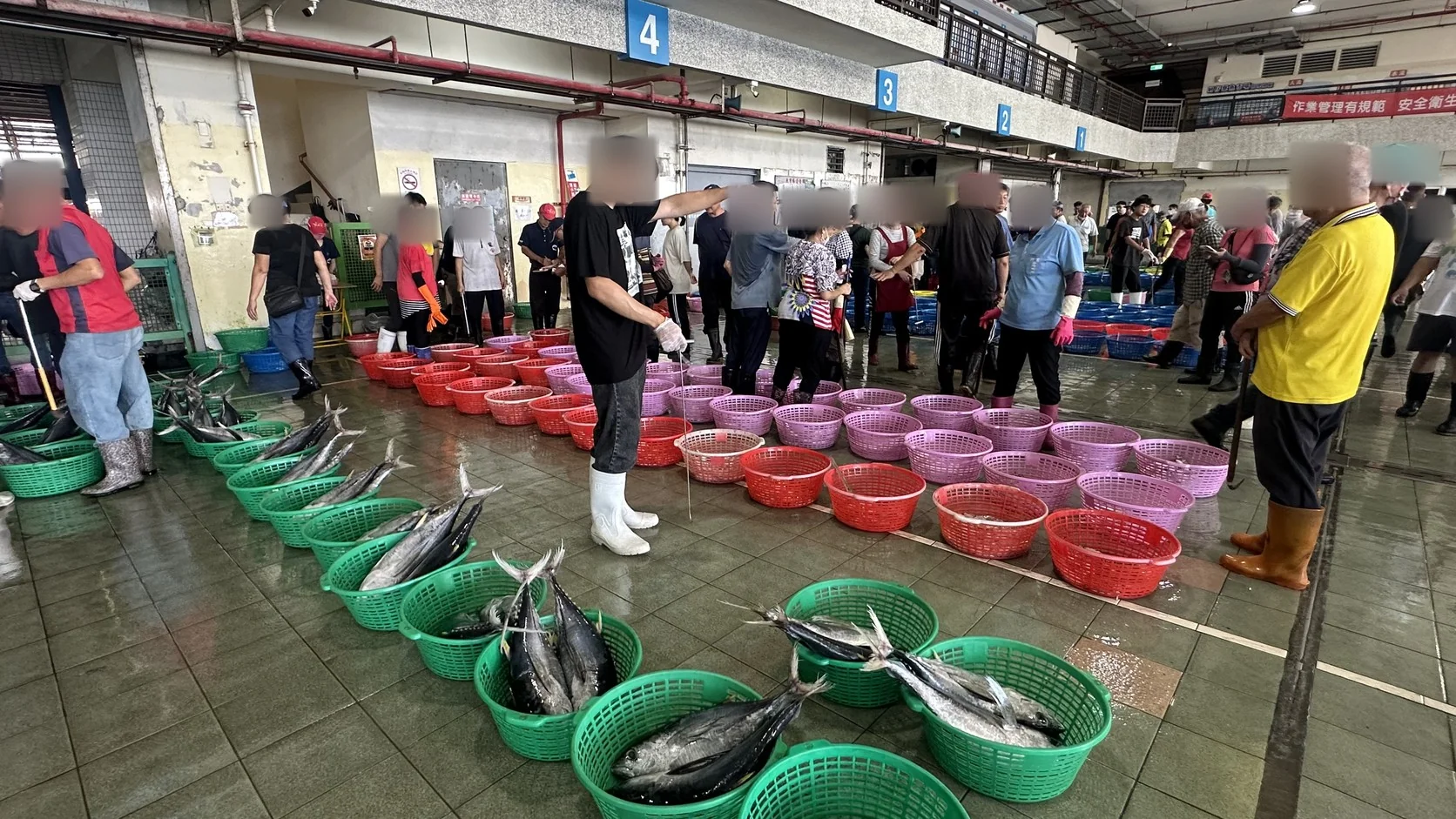 拍賣作業區地面排滿藍色、紅色與綠色魚籃，業者聚集在魚貨旁看貨