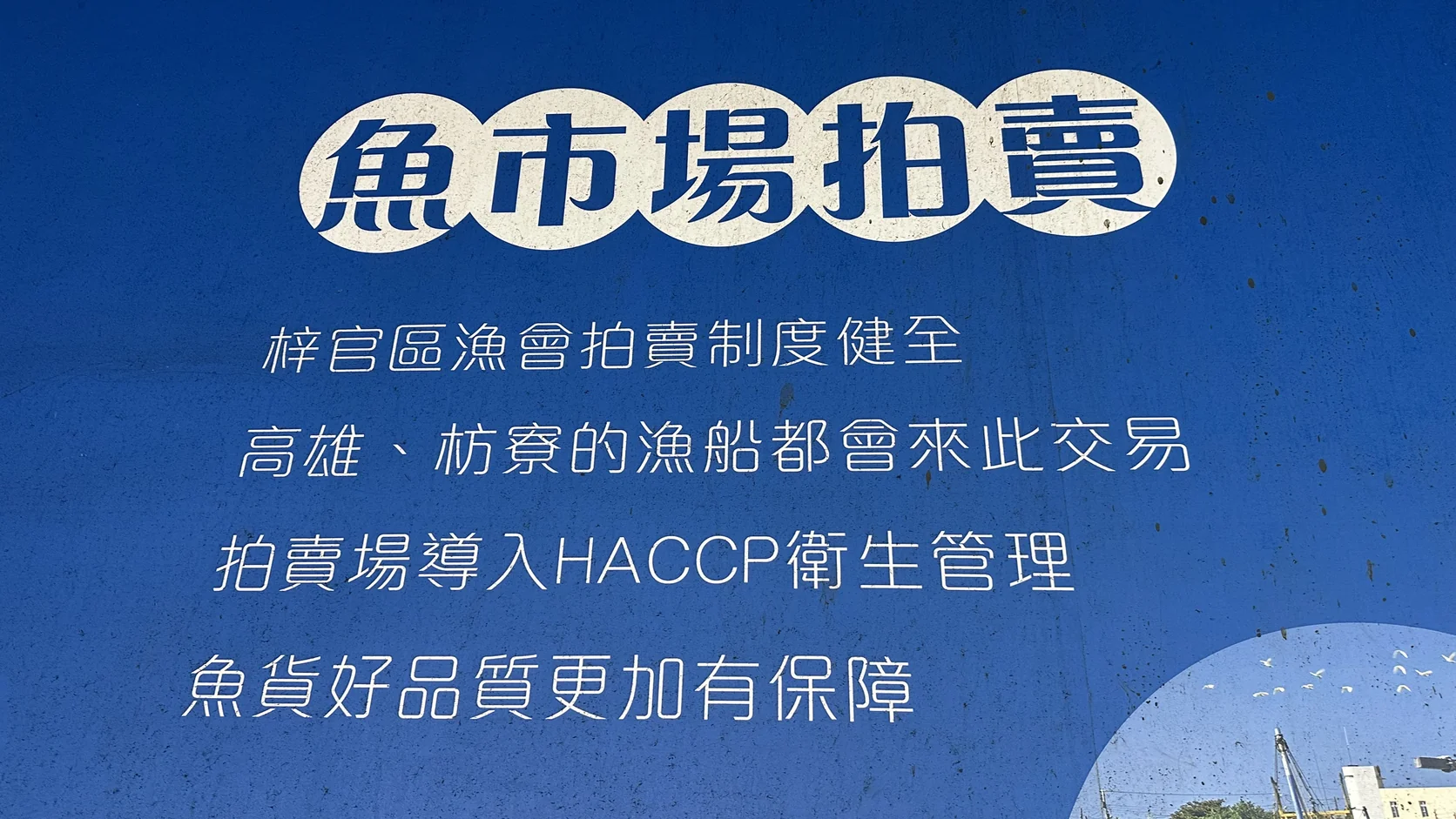 市場內側藍色說明牆，標題為「魚市場拍賣」，說明拍賣制度與 HACCP 衛生管理