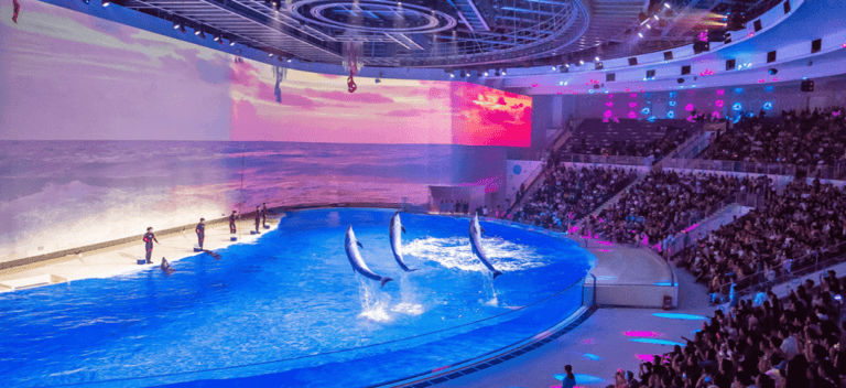 【上海海昌海洋公園3】虎鯨海豚企鵝、北極熊、海象海獅海豹海牛 1
