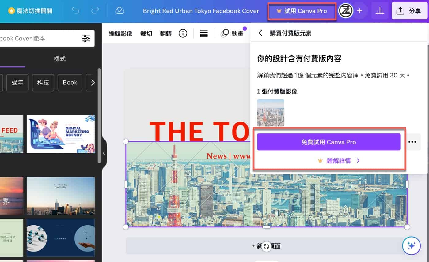 六、免費試用Canva Pro