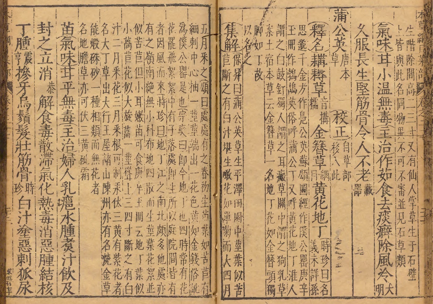 一、本草綱目記載