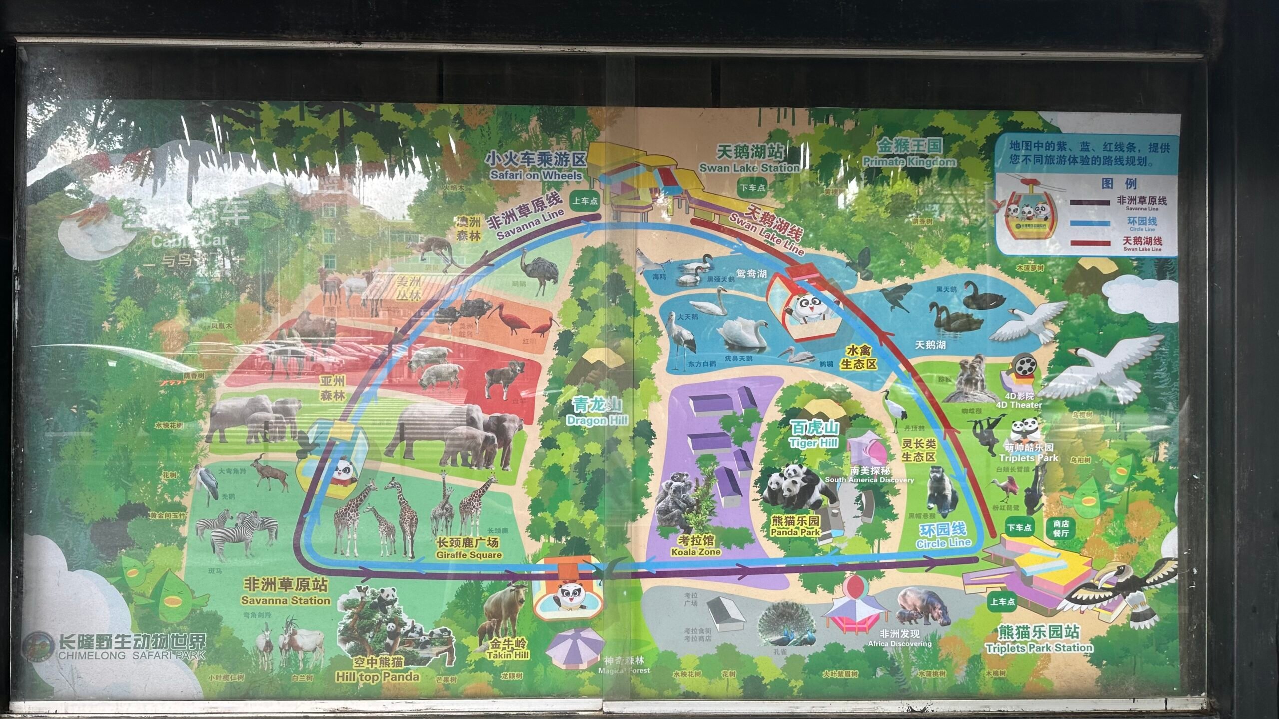 三、免費空中纜車1