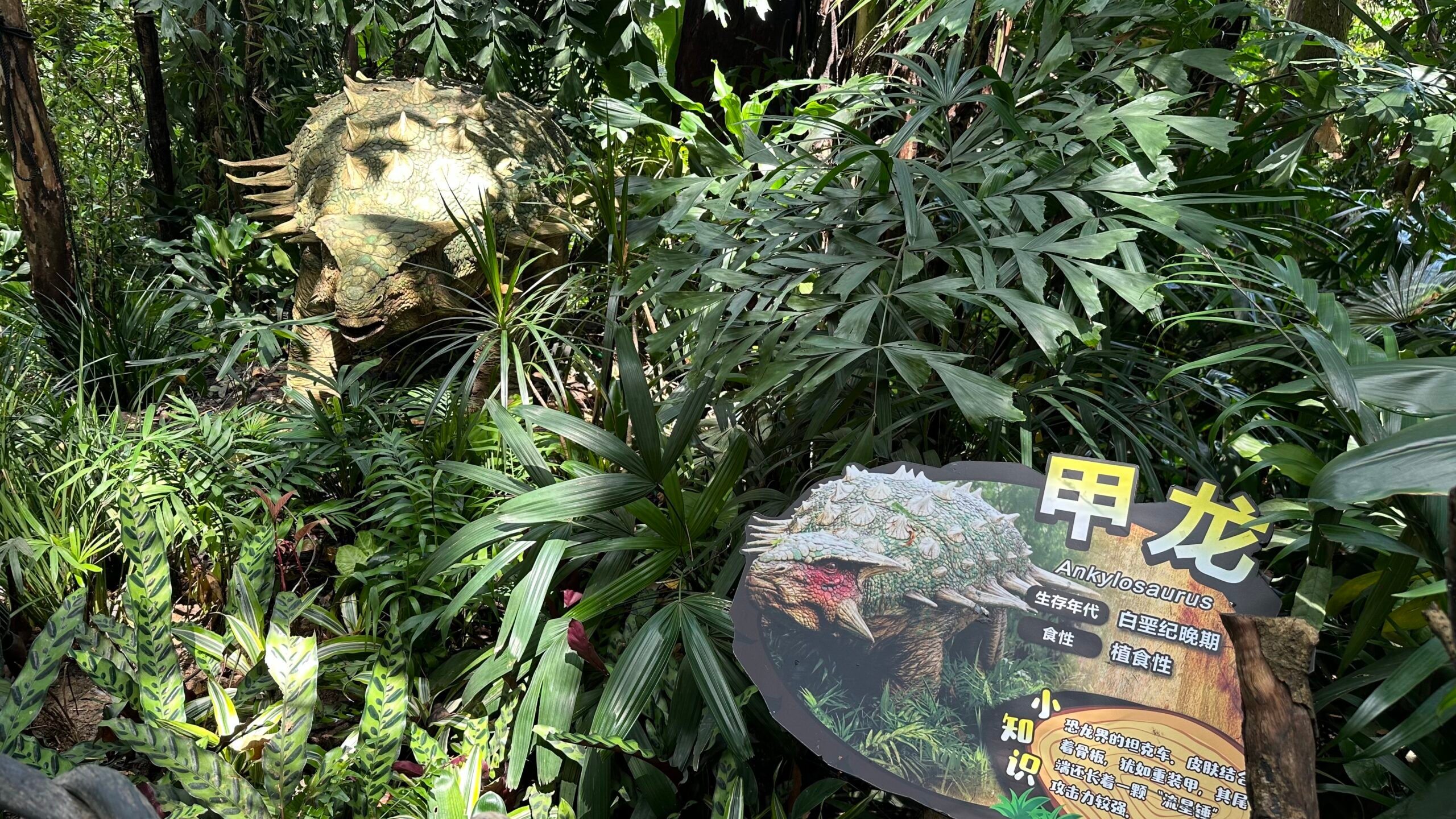 四、青龍山侏羅紀