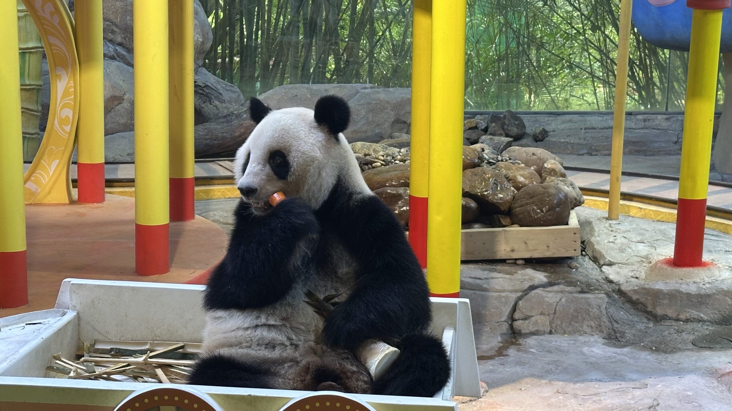 七、考拉和熊貓樂園3