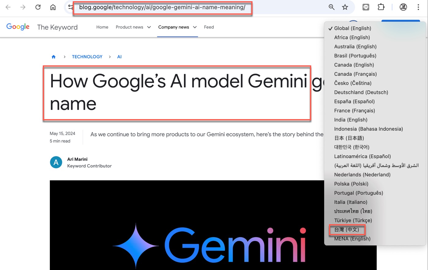 一、Gemini名稱由來