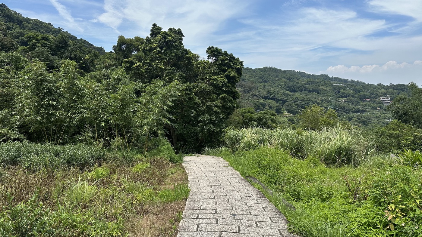 六、樟樹步道爬山2
