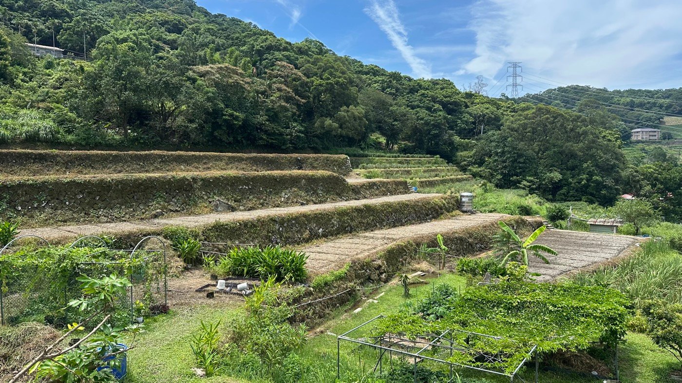 六、樟樹步道爬山3