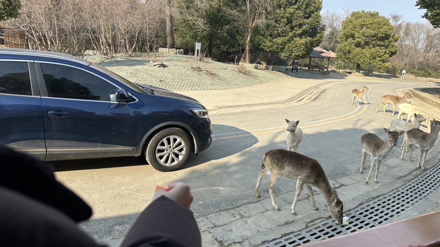 四、常州淹城動物園2