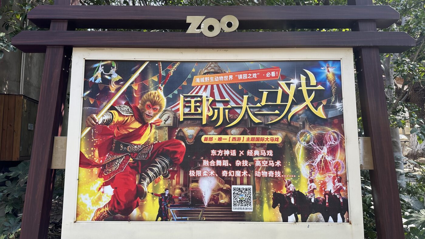 五、精彩表演活動2