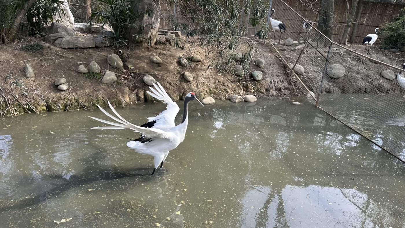 六、一日遊行程安排2