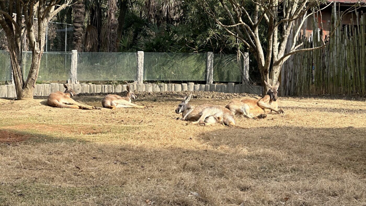 六、一日遊行程安排3