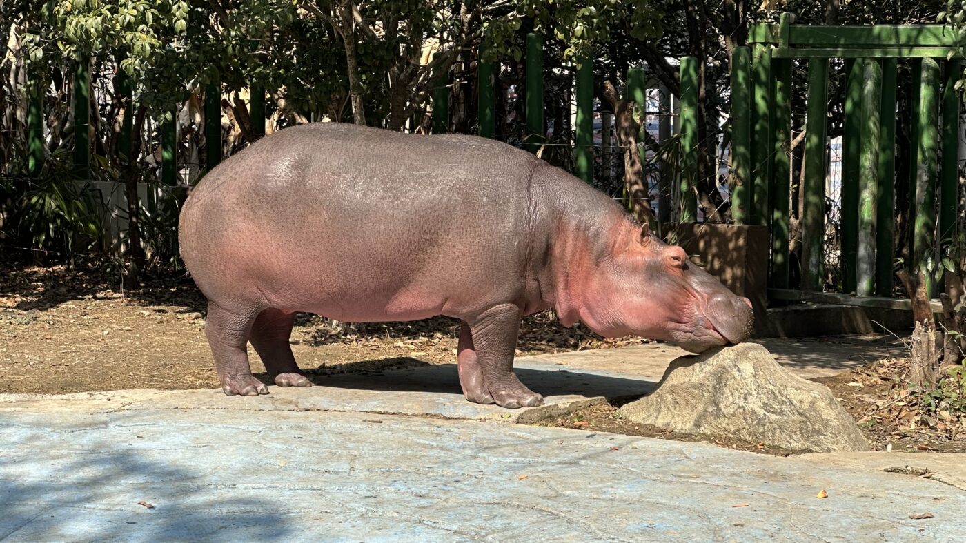 六、一日遊行程安排4