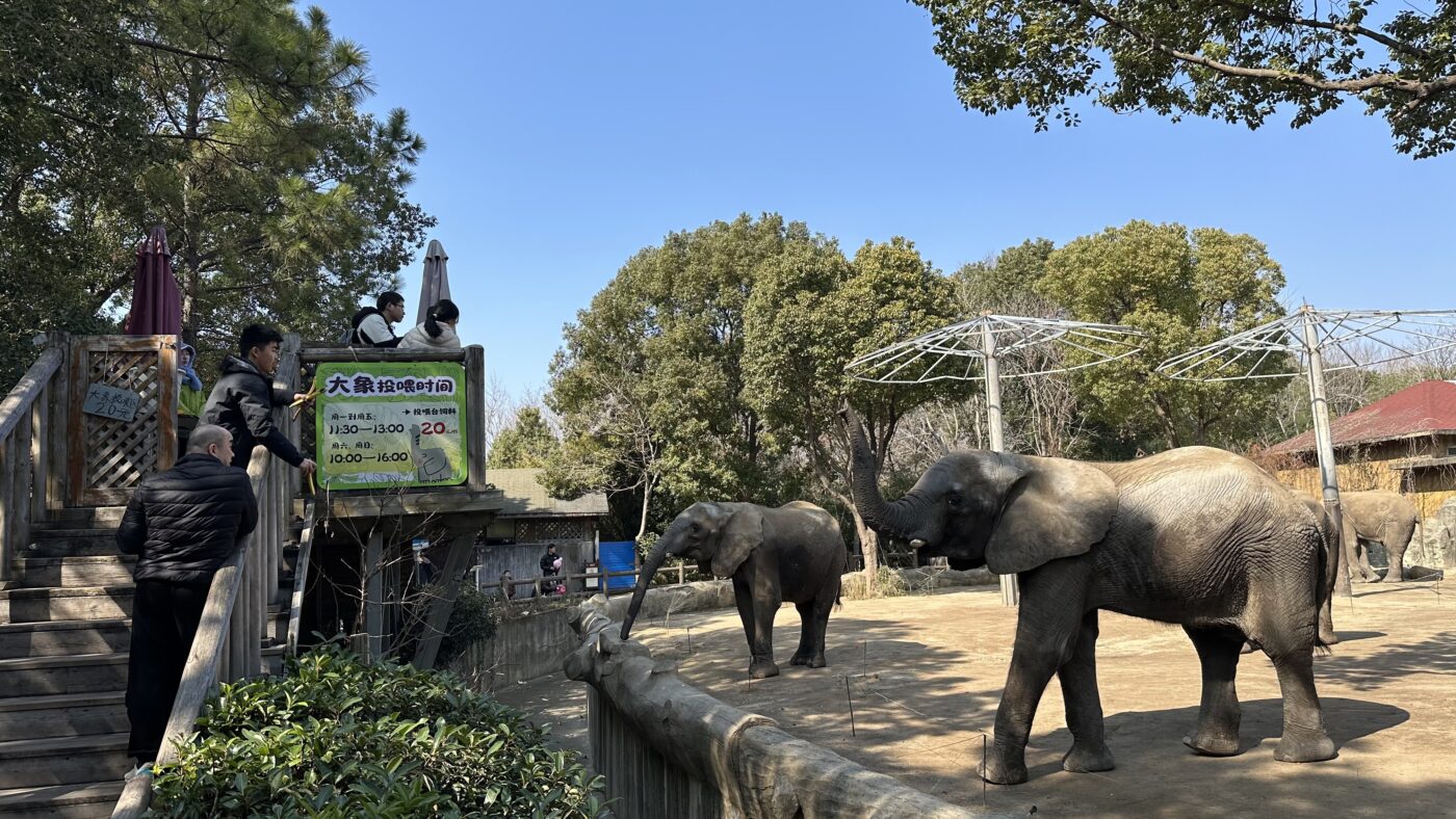 七、特殊餵食體驗2