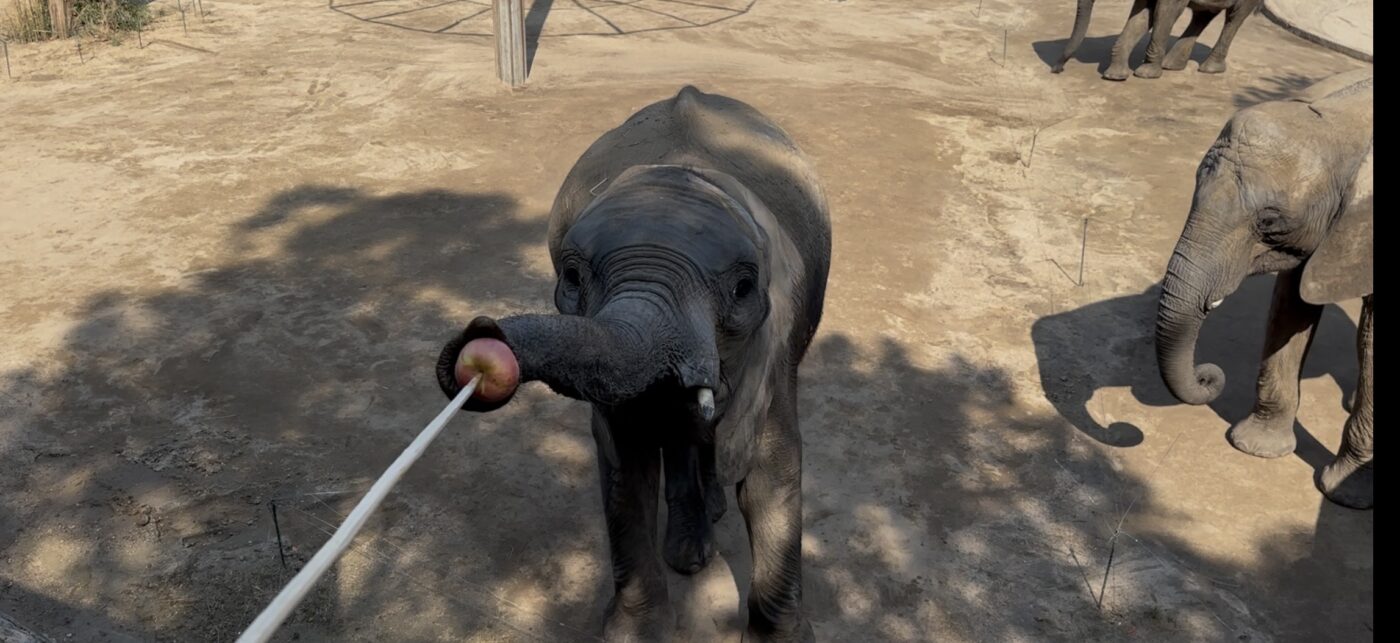 七、特殊餵食體驗3
