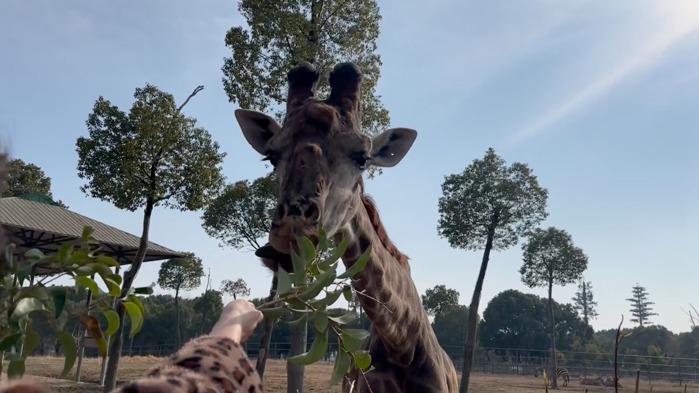 七、特殊餵食體驗5