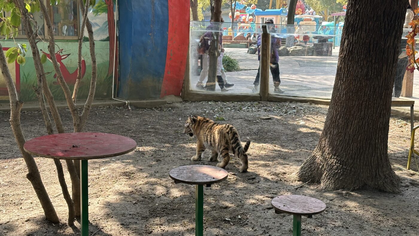 八、淹城特色體驗3