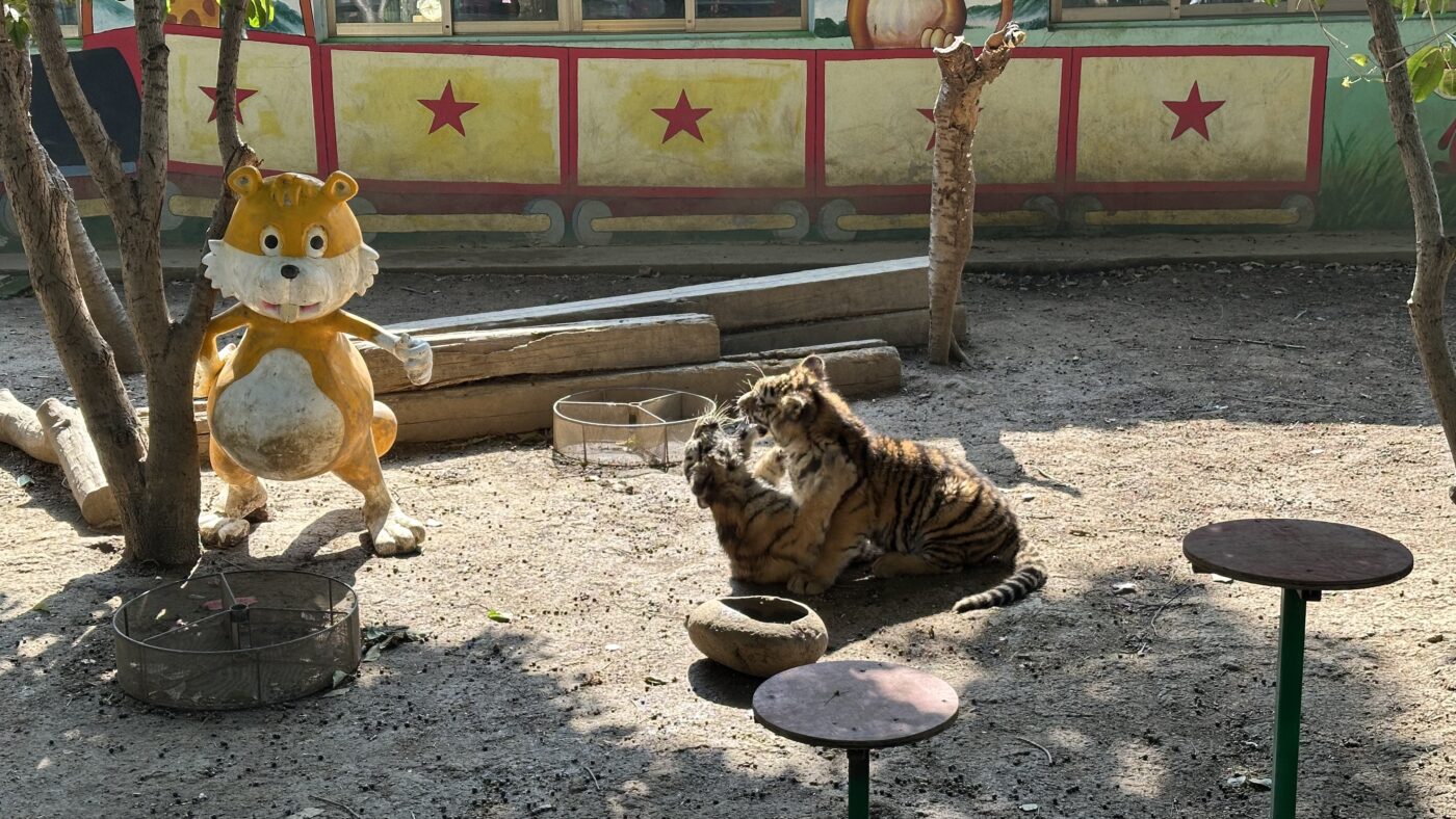 八、淹城特色體驗4