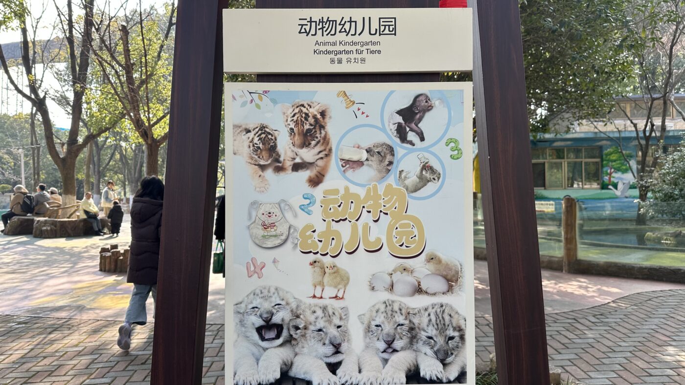 八、淹城特色體驗1