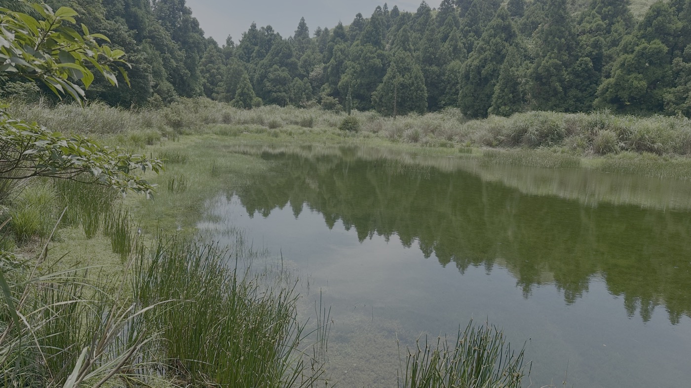 五、陽明山私房景點2