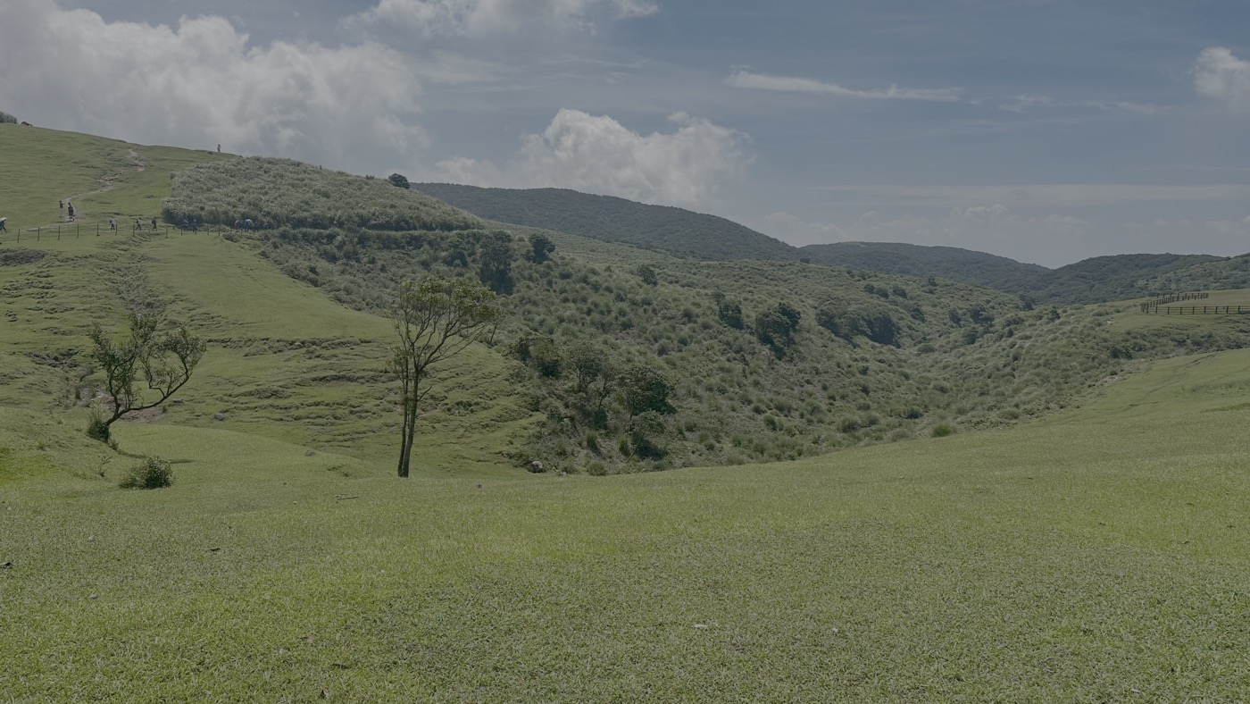 1.擎天崗大草原3