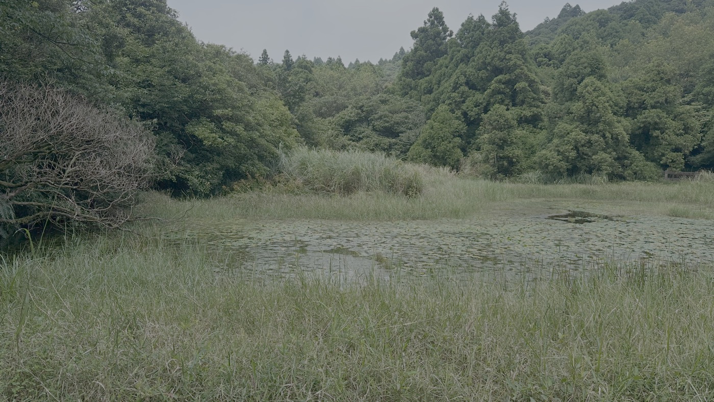 3.冷水坑生態池1