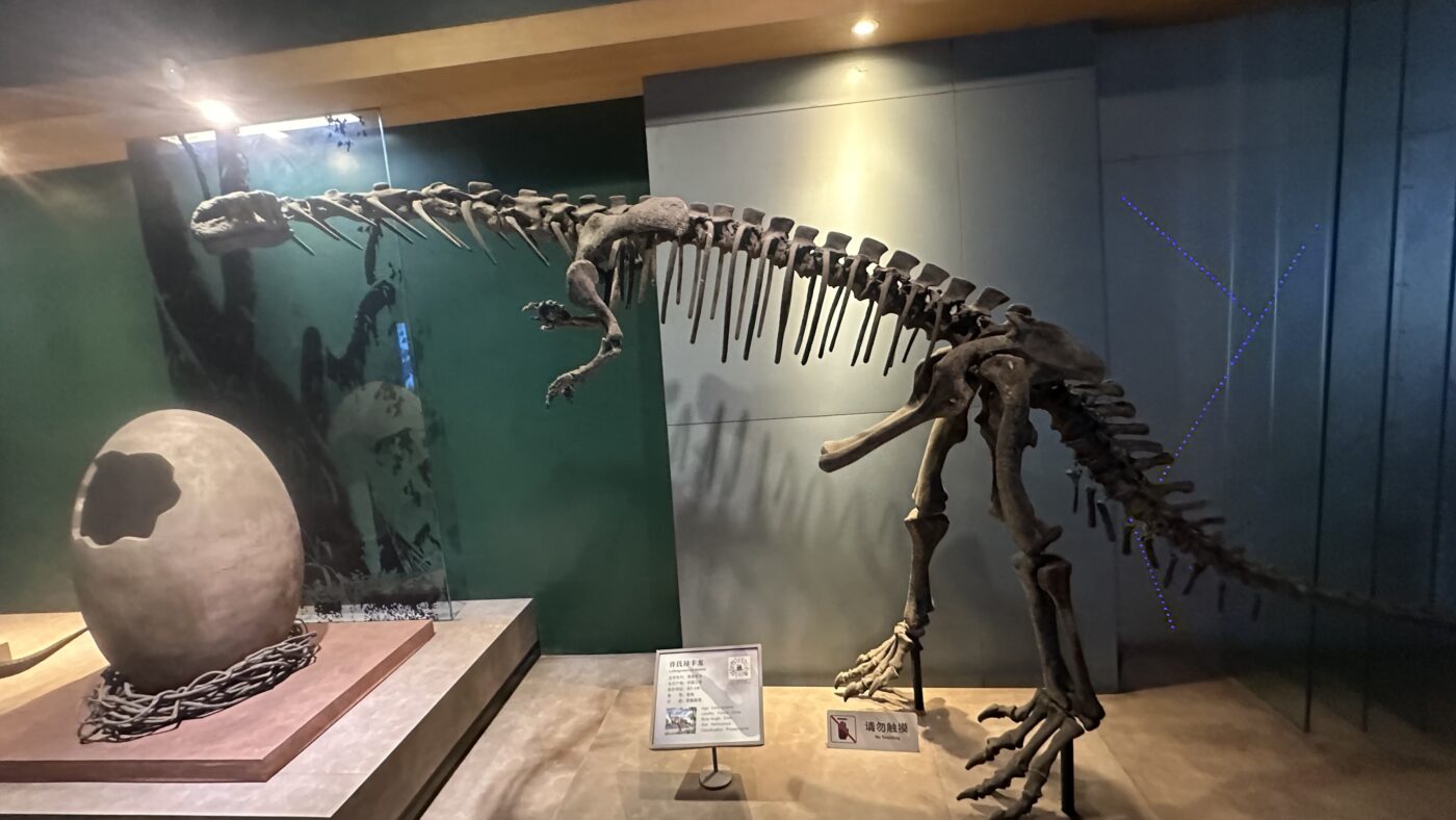 四、遊樂園鎮館之寶2