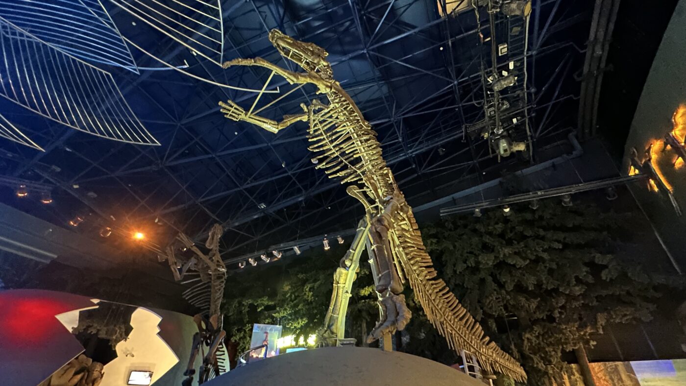 四、遊樂園鎮館之寶3