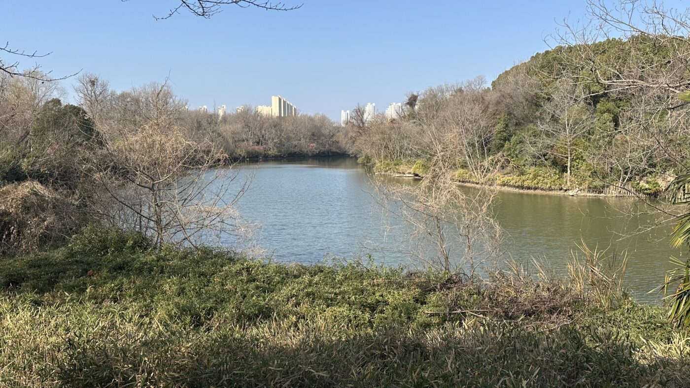 五、常州淹城遺址3