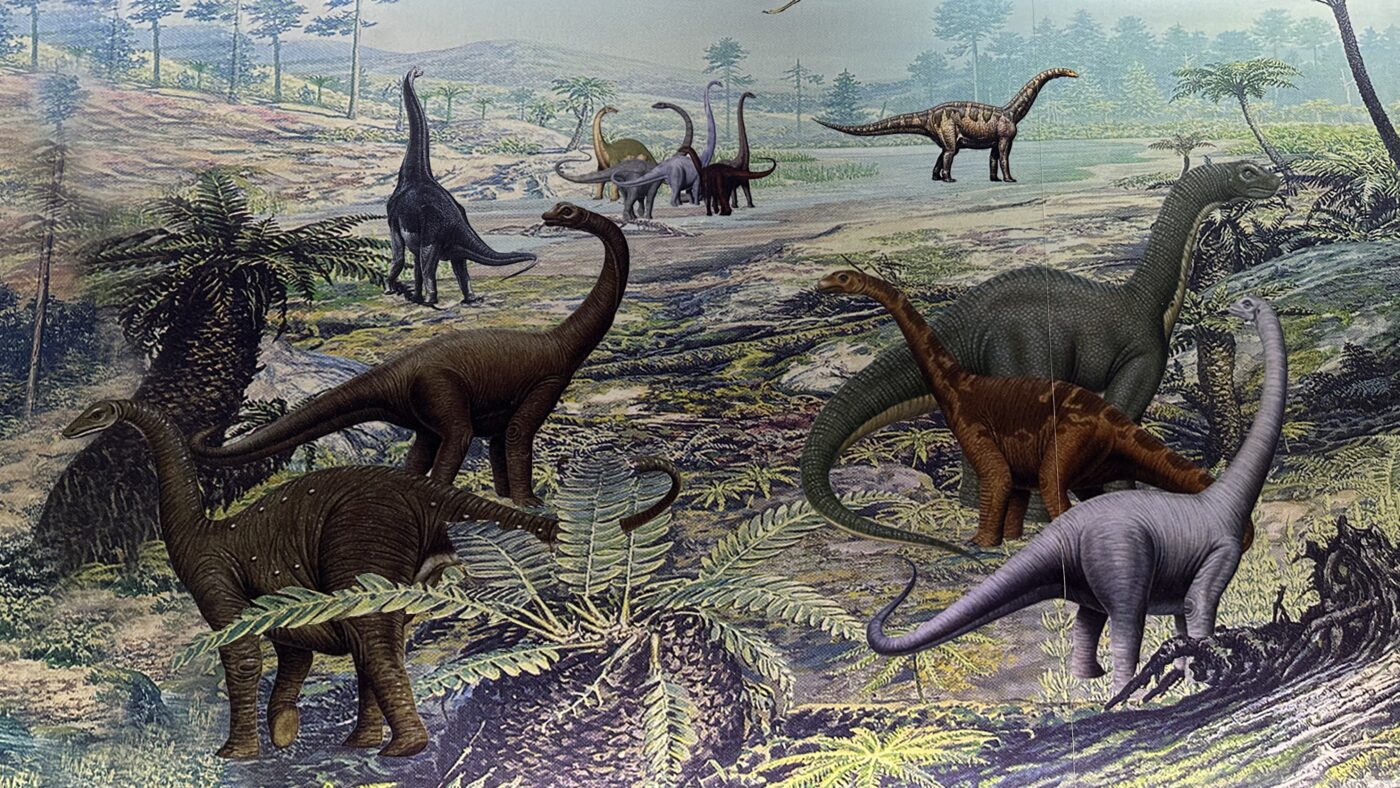 二、恐龍英文名稱1