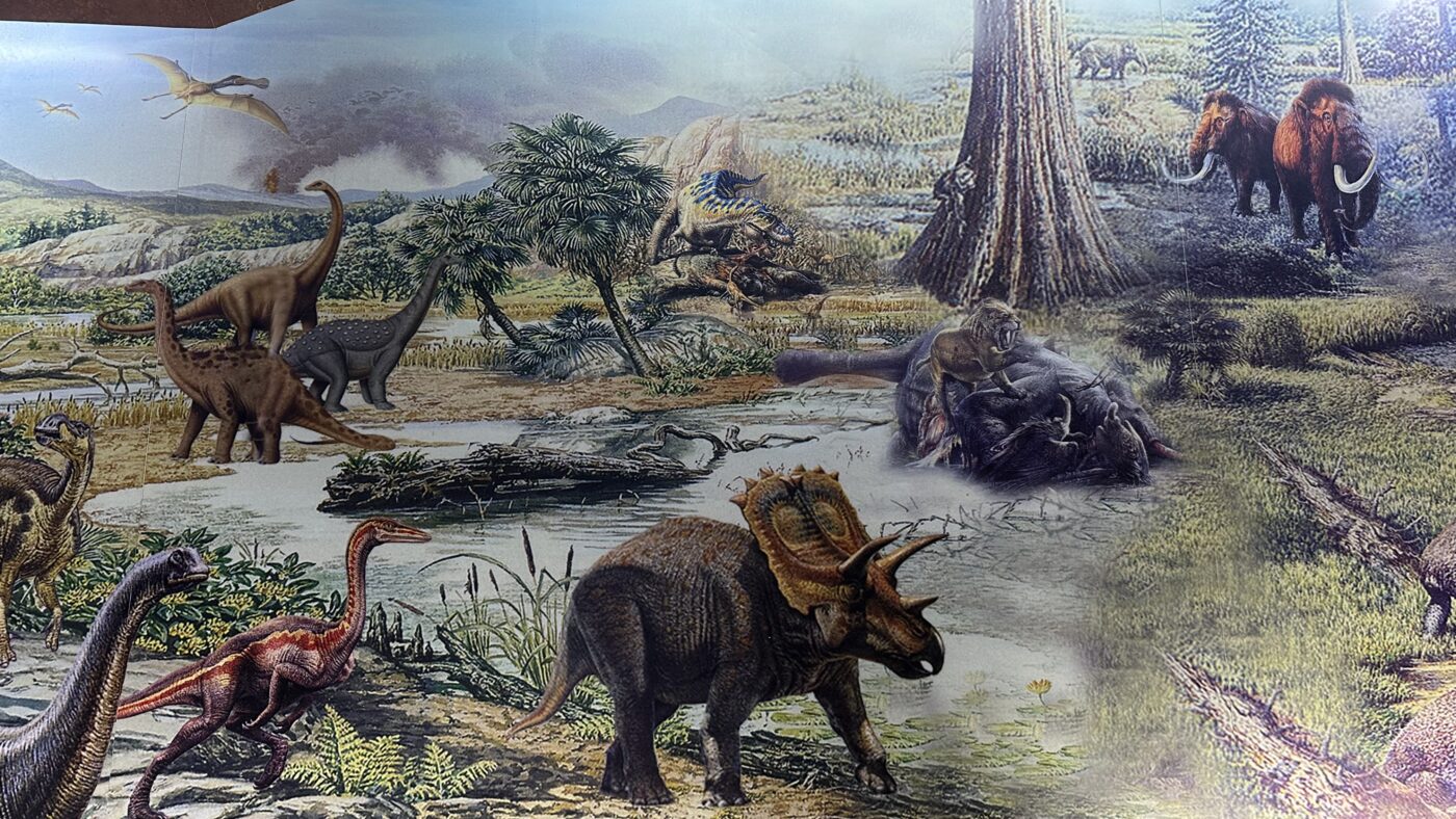 二、恐龍英文名稱2