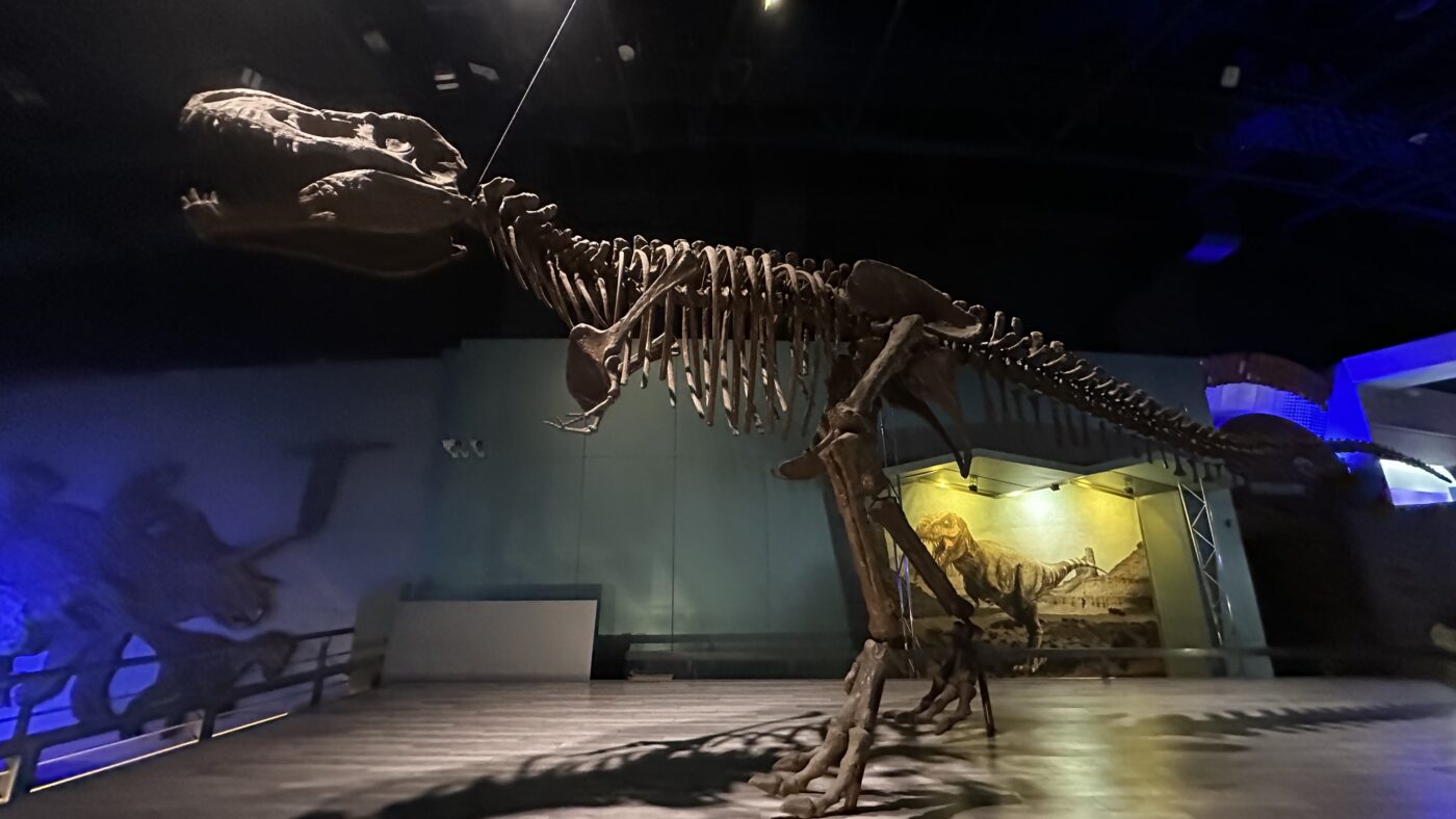 六、常見恐龍名字1