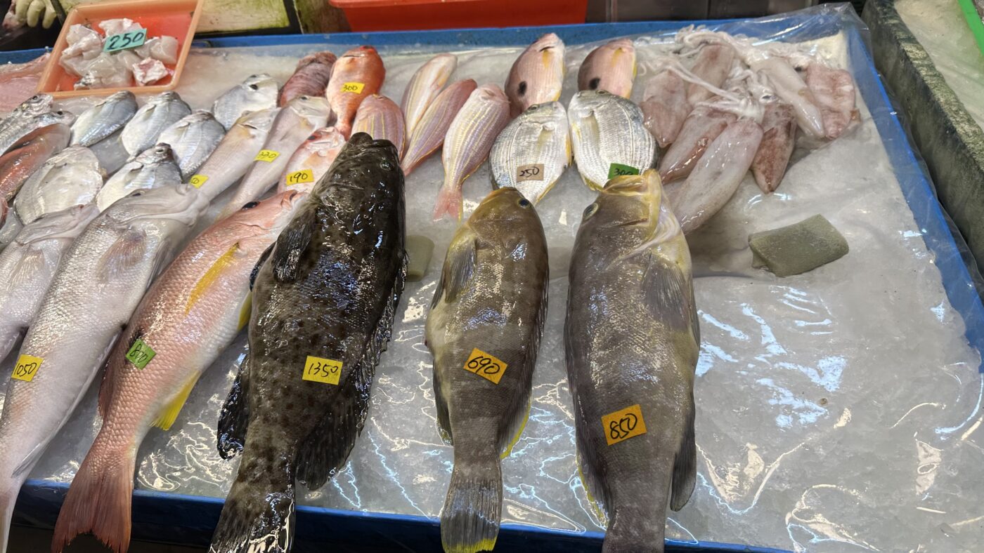 二、蚵仔寮漁市場:每天上演的新鮮拍賣現場2