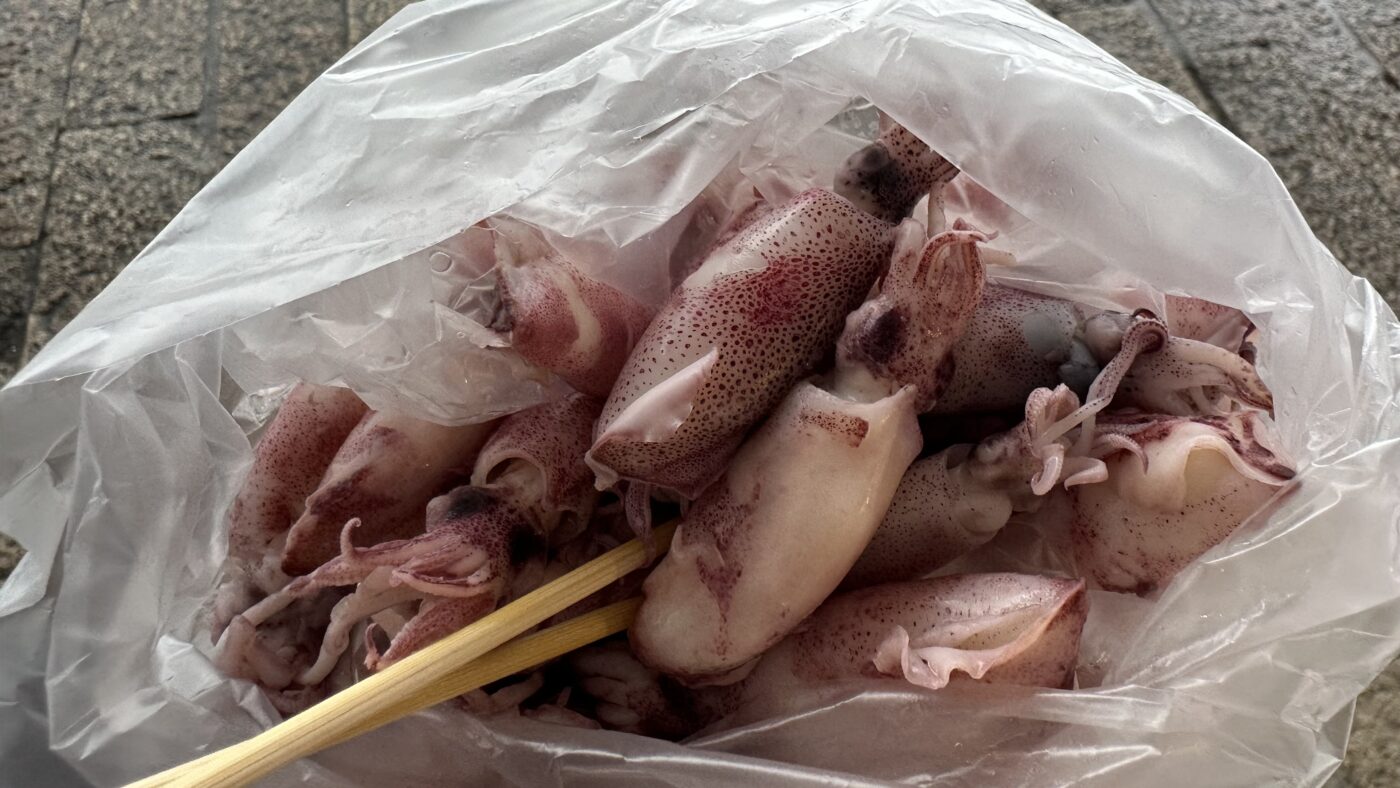 四、東榮六號小卷2