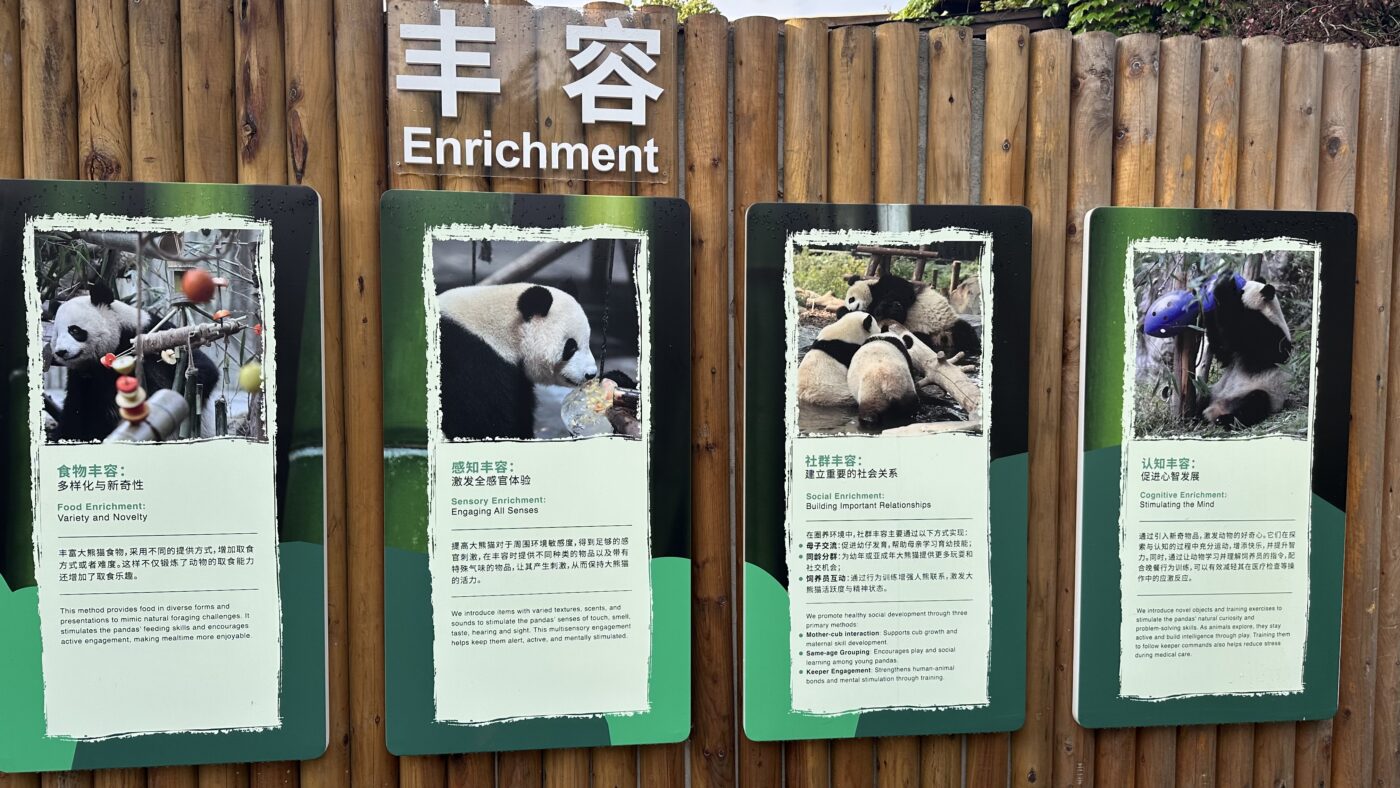 一、全球最大熊貓谷:科研繁育中心與旅遊景點2