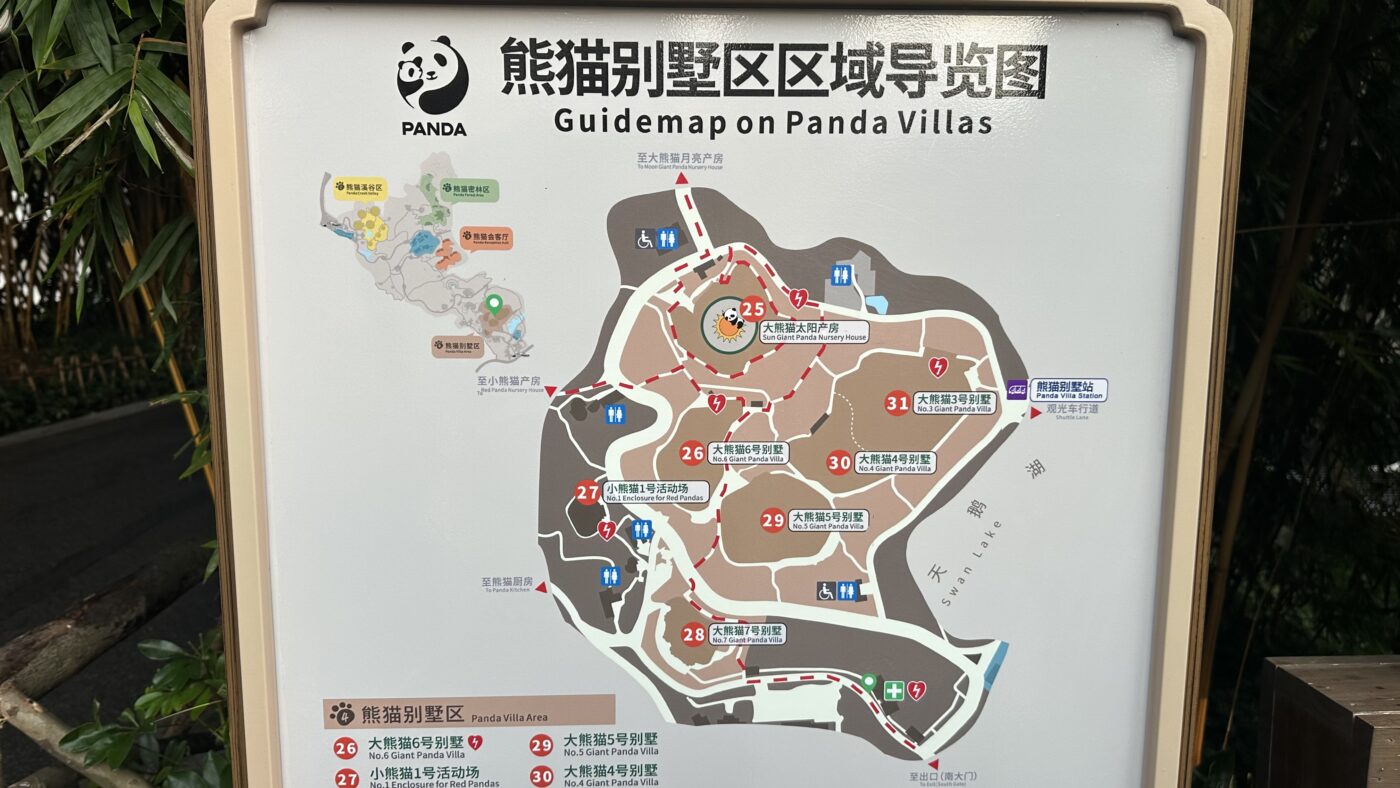 四、成都熊貓基地介紹:大別墅與太陽月亮產房1