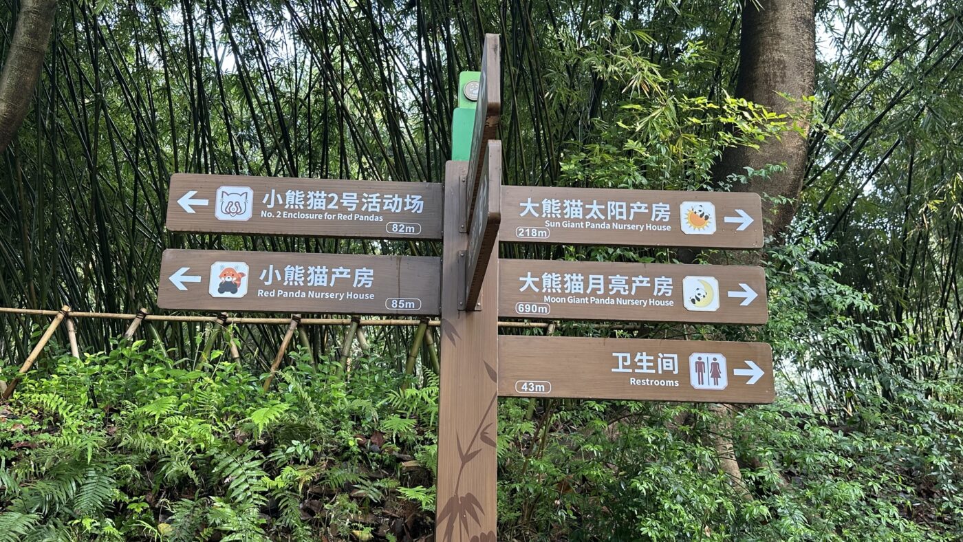 四、成都熊貓基地介紹:大別墅與太陽月亮產房2