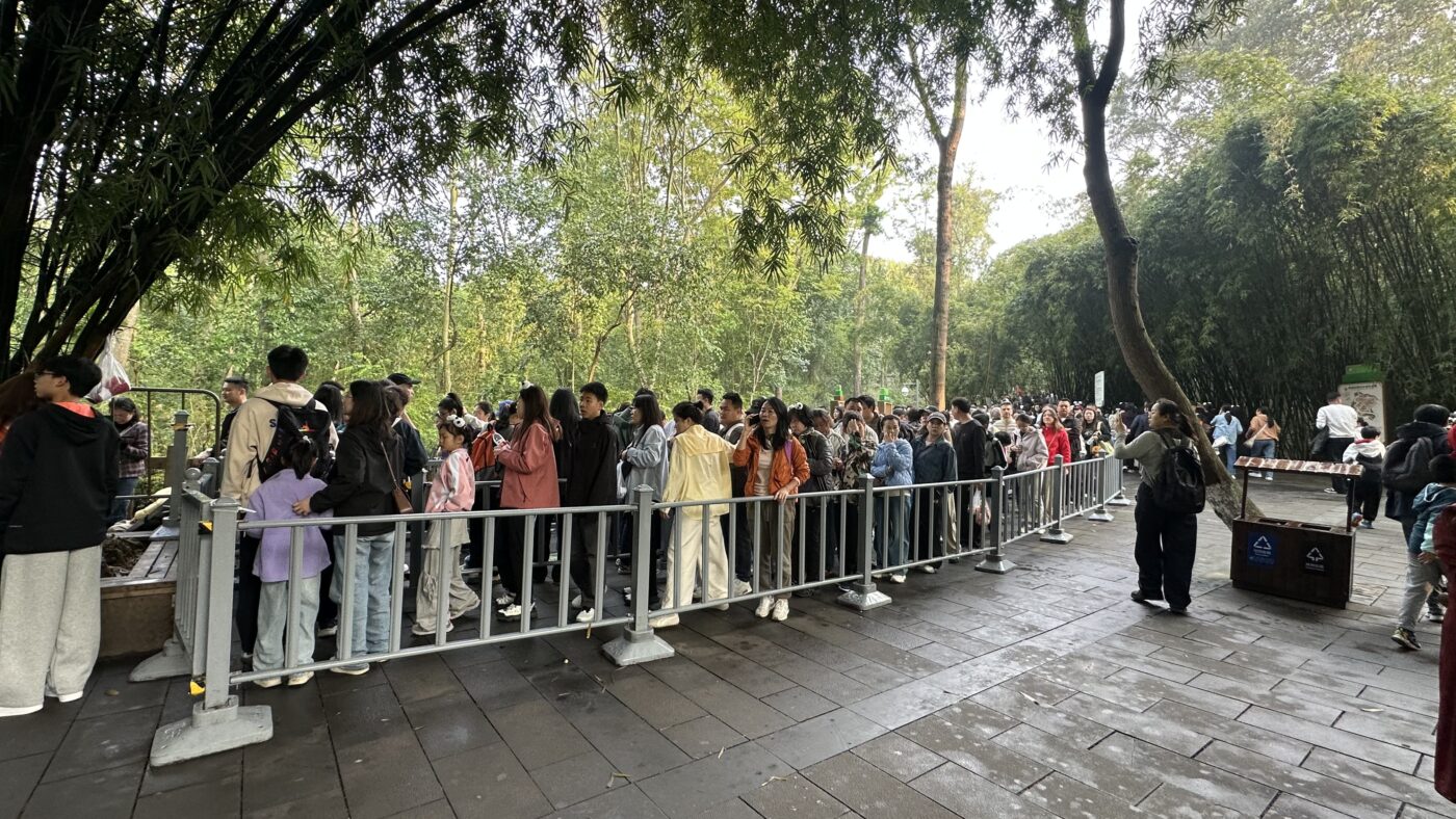 五、熊貓基地攻略:一大早排隊看到明星花花1