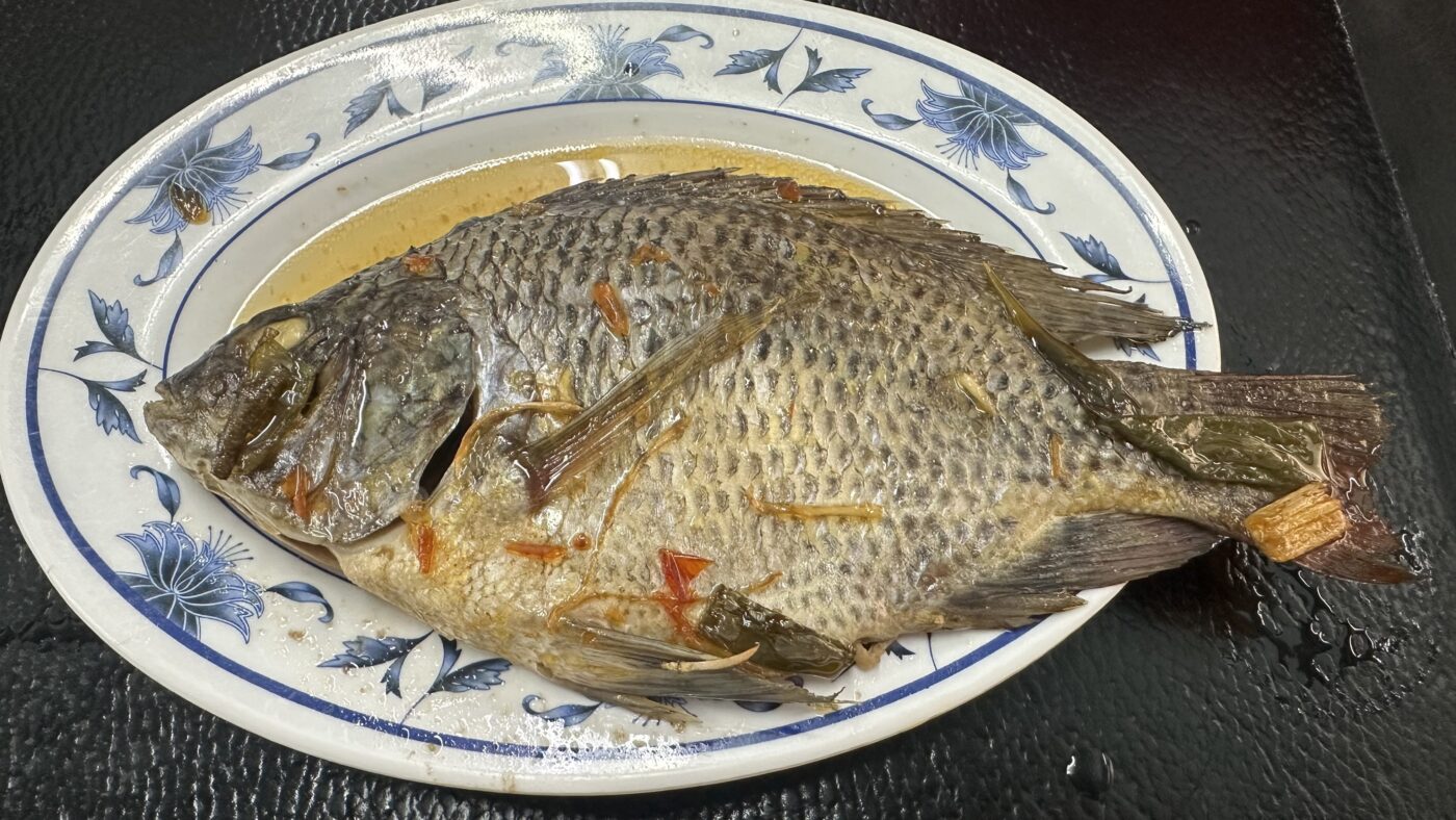 五、今大魯肉飯吳郭魚:一條魚吃回高雄老家的記憶