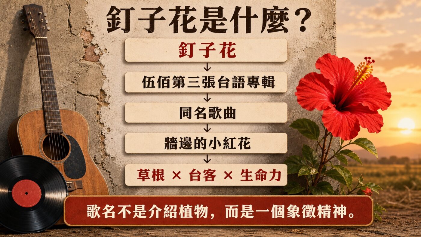 釘子花意思:牆邊小紅花的自我介紹 重點整理